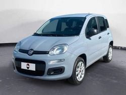 Grigio Usata 2019 Fiat Panda Easy Due volumi | 8900 € (Cara)
