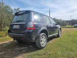Blu Usata 2011 Land Rover Freelander 2 S SUV | 8500 € (Buon prezzo)