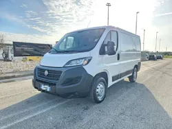 Bianco Usata 2020 Fiat Ducato Furgone | 13.900 € (Ottimo prezzo)