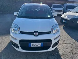 Bianco Usata 2016 Fiat Panda Lounge Due volumi | 7900 € (Cara)