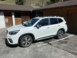 Usata 2021 Subaru Forester Platinum SUV | 30.000 € (Buon prezzo)