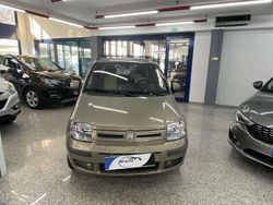 Bronzo Usata 2010 Fiat Panda Dynamic Due volumi | 2890 € (Ottimo prezzo)
