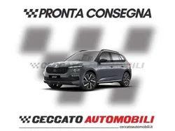 Grigio Nuova 2024 Skoda Kamiq Selection SUV | 23.994 € (Buon prezzo)