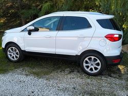Bianco Usata 2019 Ford Ecosport SUV | 12.500 € (Buon prezzo)
