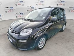 Nero Usata 2023 Fiat Panda S Due volumi | 12.990 € (Molto cara)