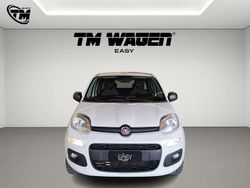 Bianco Usata 2019 Fiat Panda Easy Tre volumi | 8500 € (Buon prezzo)