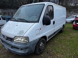 Bianco Usata 2003 Fiat Ducato 15 Furgone | 1200 €