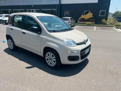 Beige Usata 2015 Fiat Panda Pop Due volumi | 6900 € (Buon prezzo)