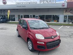 Rosso Nuova 2025 Fiat Panda S Due volumi | 14.100 €