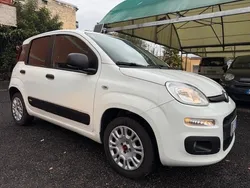 Bianco Usata 2019 Fiat Panda Easy Plus Due volumi | 10.199 € (Cara)