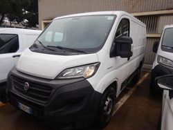 Bianco Usata 2020 Fiat Ducato Furgone | 11.000 € (Super prezzo)