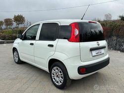 Bianco Usata 2015 Fiat Panda Pop Due volumi | 5600 € (Ottimo prezzo)