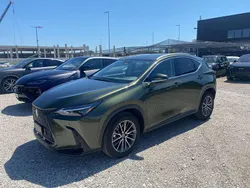 Verde Usata 2022 Lexus NX350h SUV | 39.999 €