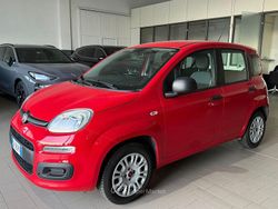 Rosso Usata 2020 Fiat Panda Easy Tre volumi | 10.300 € (Buon prezzo)