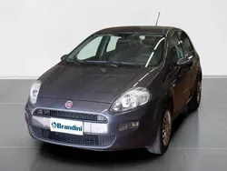 Grigio Usata 2015 Fiat Punto Street Due volumi | 8900 € (Buon prezzo)