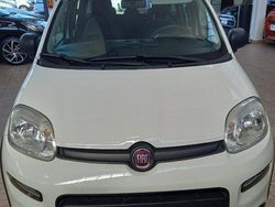 Bianco Usata 2020 Fiat Panda 4x4 S Due volumi | 11.490 € (Ottimo prezzo)