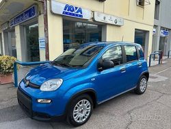 Blu Usata 2024 Fiat Panda Cross Cross Due volumi | 14.000 € (Buon prezzo)