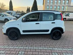 Bianco Usata 2019 Fiat Panda 4x4 S Due volumi | 13.850 € (Molto cara)