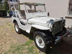 Bianco Usata 1951 Jeep Willys SUV | 19.000 €