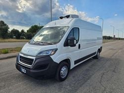 Bianco Usata 2020 Fiat Ducato S Furgone | 17.900 € (Ottimo prezzo)