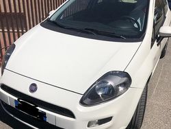 Bianco Usata 2014 Fiat Punto Lounge Due volumi | 2000 € (Ottimo prezzo)
