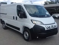 Bianco Nuova 2024 Fiat Ducato Furgone | 26.990 € (Ottimo prezzo)
