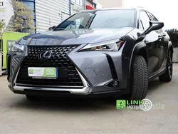 Grigio(met.) Usata 2021 Lexus UX 300e SUV | 21.900 €