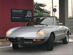 Grigio Usata 1974 Alfa Romeo Spider Cabrio | 23.000 €