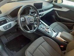 Usata 2016 Audi A4 Business Plus Station wagon | 18.000 € (Molto cara)
