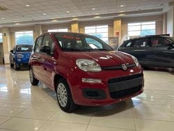 Rosa Nuova 2025 Fiat Panda S Tre volumi | 14.500 €