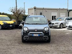 Grigio Usata 2021 Fiat Panda Cross Cross Due volumi | 11.999 € (Molto cara)