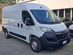 Bianco Usata 2024 Opel Movano S Furgone | 19.928 € (Super prezzo)