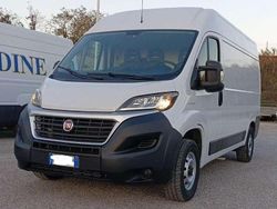 Bianco Usata 2020 Fiat Ducato Furgone | 15.900 € (Ottimo prezzo)