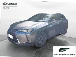 Grigio Usata 2021 Lexus UX Executive Line SUV | 23.700 € (Buon prezzo)