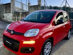 Rosso Usata 2017 Fiat Panda Easy Due volumi | 8500 € (Cara)