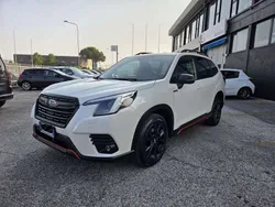 Bianco Usata 2024 Subaru Forester 4dventure SUV | 39.000 €