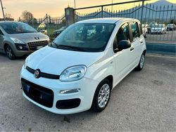 Bianco Usata 2021 Fiat Panda S Due volumi | 9699 € (Buon prezzo)