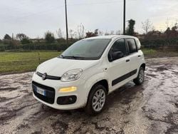 Bianco Usata 2019 Fiat Panda 4x4 Due volumi | 5950 € (Super prezzo)