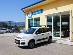 Bianco Usata 2019 Fiat Panda 4x4 S Due volumi | 9400 € (Ottimo prezzo)