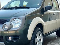 Verde Usata 2007 Fiat Panda Cross Cross Due volumi | 4900 €