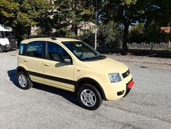 Usata 2006 Fiat Panda 4x4 Climbing Due volumi | 4500 € (Ottimo prezzo)