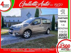 Grigio Usata 2009 Peugeot Partner Tepee Monovolume | 5690 €