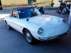 Bianco Usata 1967 Alfa Romeo Spider Cabrio | 49.900 €