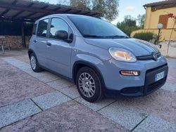 Usata 2023 Fiat Panda Cross Cross Due volumi | 11.500 € (Ottimo prezzo)