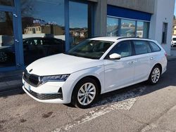 Bianco Usata 2024 Skoda Octavia Selection Station wagon | 26.500 € (Buon prezzo)