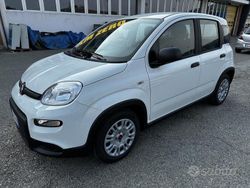 Bianco Usata 2024 Fiat Panda S Due volumi | 12.890 € (Buon prezzo)