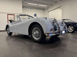 Ice grey Usata 1955 Jaguar XK Cabrio | 115.000 €