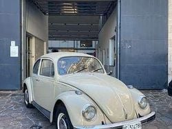 Beige Usata 1968 VW Maggiolino | 13.000 €