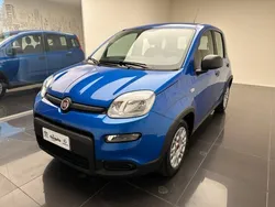 Azzurro Usata 2024 Fiat Panda S Due volumi | 12.900 € (Buon prezzo)
