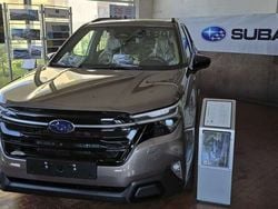 River rock Usata 2024 Subaru Forester Premium SUV | 42.500 € (Buon prezzo)